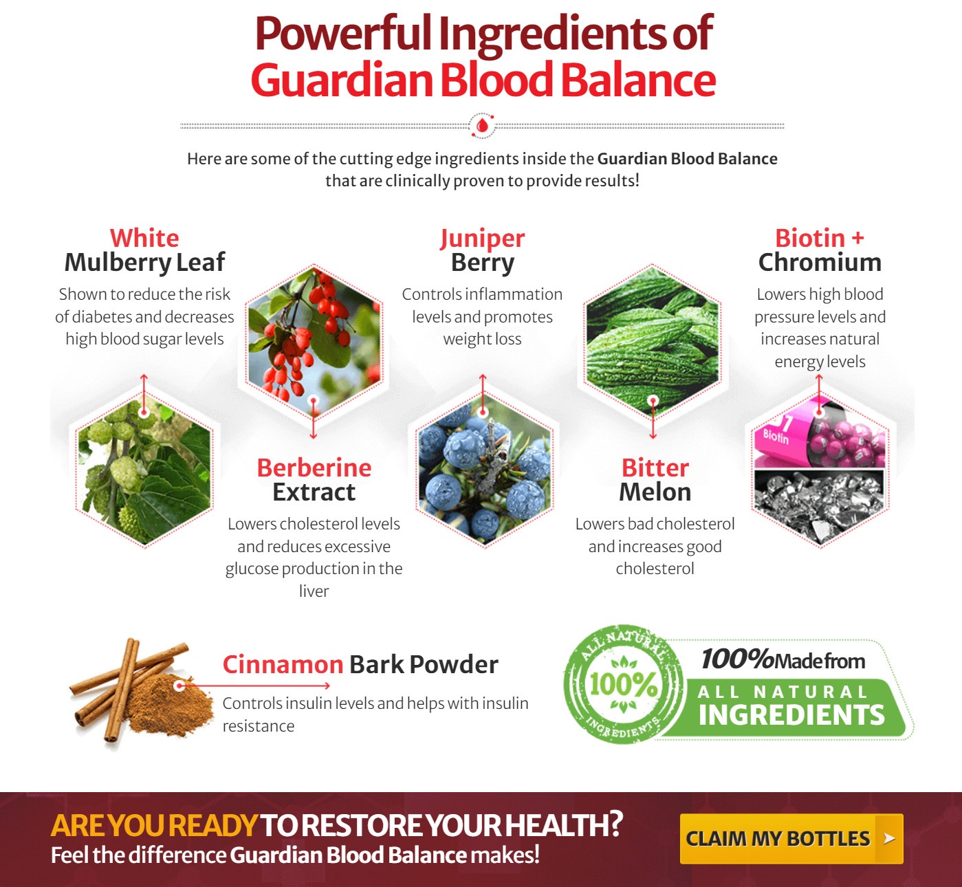 Guardian Botanicals Blood Balance Ingredients